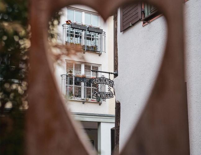 Pension Goldener Zwinger 迈宁根 外观 照片